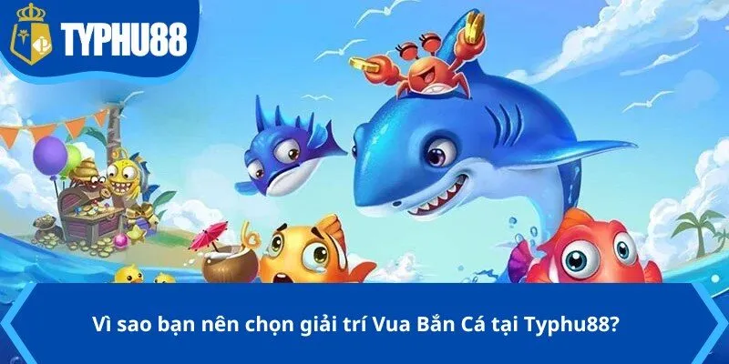 Vì sao bạn nên chọn giải trí Vua Bắn Cá tại Typhu88?